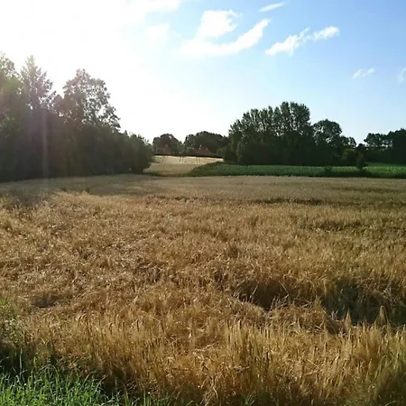 4 Person In Rudkobing-by Traum *