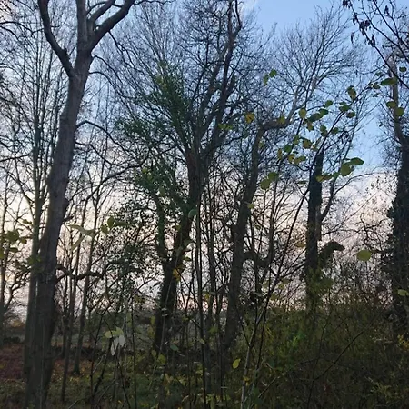 4 Person In Rudkobing-by Traum * Rudkøbing