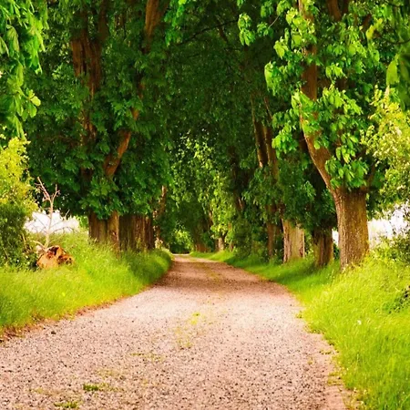 4 Person In Rudkobing-by Traum *